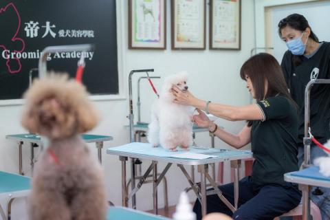 常溫特調工作室 - 企業服務形象照
寵物美容業