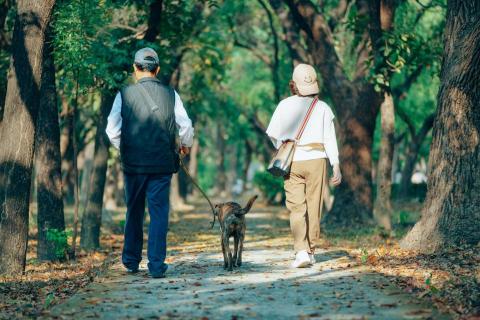 常溫特調工作室 - 人寵互動攝影