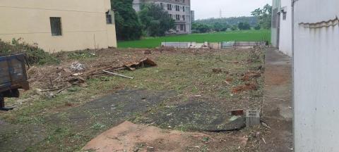 阮先生 - 整地後