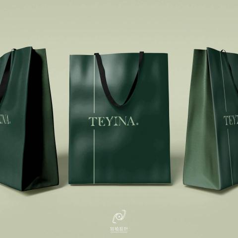 岱碒廣告設計 - TEYINA醇萃洗髮露紙袋設計