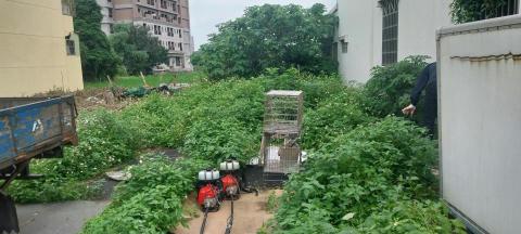 阮先生 - 整地前