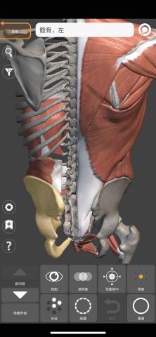 台北舒壓筋膜放鬆 - 