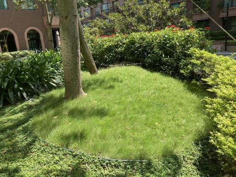 揚子園藝工程行 -  揚子園藝工程行 -