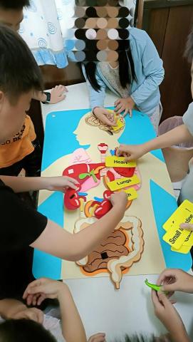 胡嘉雯 - 國中生物課程，國小生提早學習。
（消化系統）