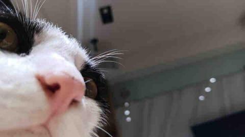 提供48服務的專家歐祐嘉