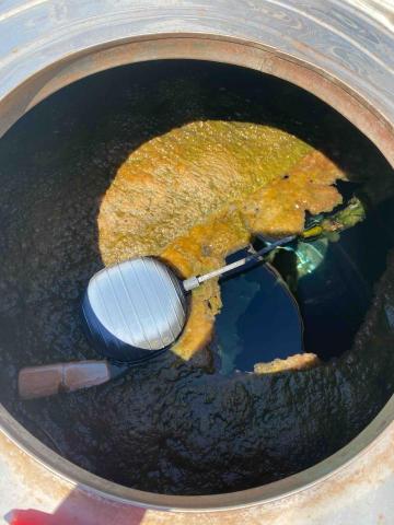 勝合清潔 - 蓋子飛走內部長滿青苔