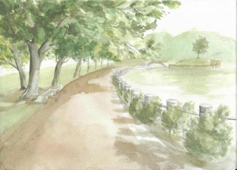 JY Wang - 水彩插畫