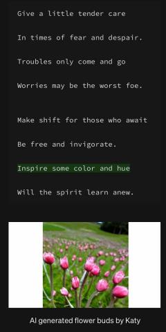 英文家教 Katy - 作文：by Katy