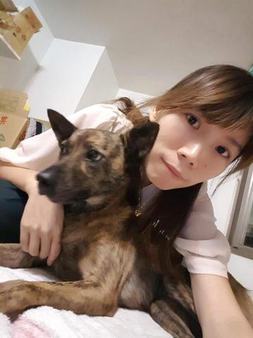 提供兼差服務的專家就是愛狗狗