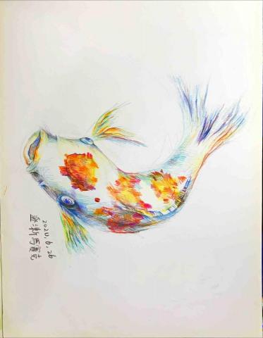 黃譯芊 - 色鉛筆練習