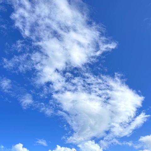 提供衣櫃架服務的專家劉衣蓉