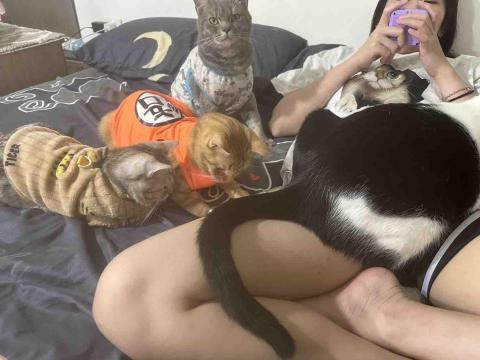 郭馨羽 - 本人被貓咪淹沒的日常