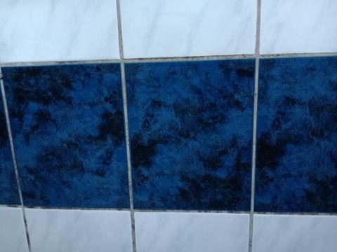 李詠彤 - 除霉清潔前