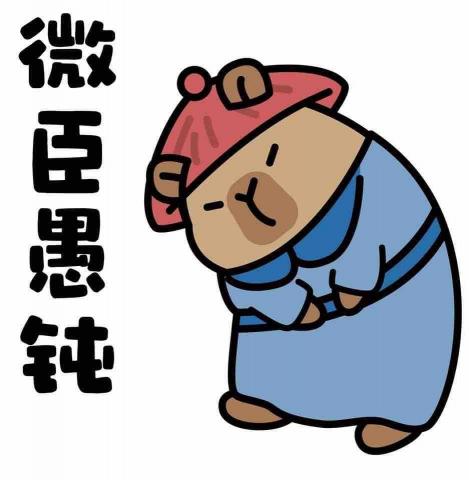 提供高雄衝浪教學服務的專家張暘裕