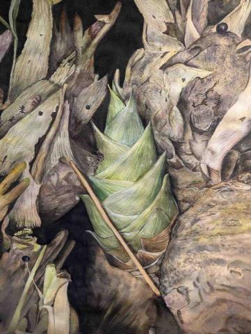 蔡文堯 - 學生參賽作品（國中組）