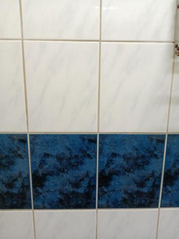 李詠彤 - 清潔後