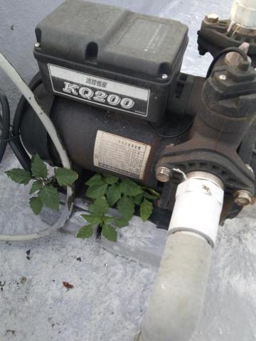 陳俊達 - 更換加壓馬達