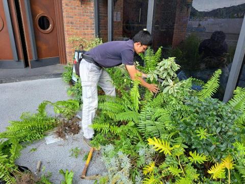 陳順益 - 植栽重新規劃及種植