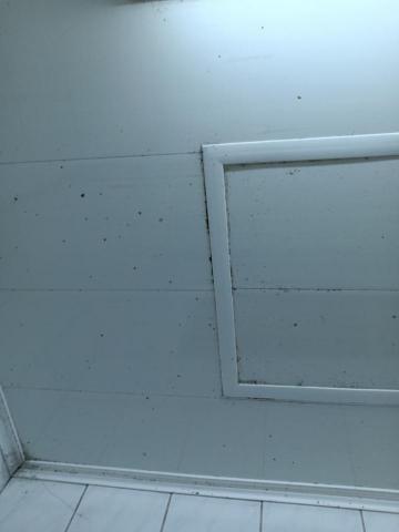 李詠彤 - 除霉清潔前