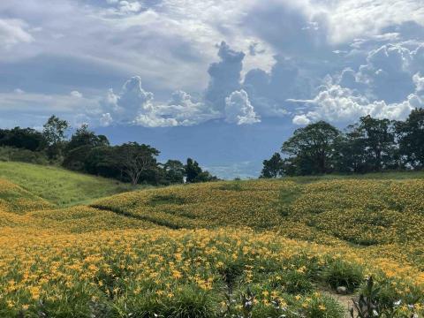 花東計程車&包車旅遊 - 赤柯山