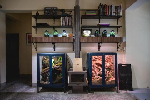 隣人植栽 - 台北甜點店，沙漠櫃及雨林櫃