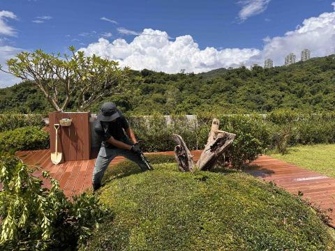 艸根設計有限公司 - 露台枯木移除