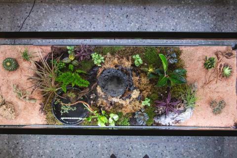 隣人植栽 - 台北甜點店，生態桌