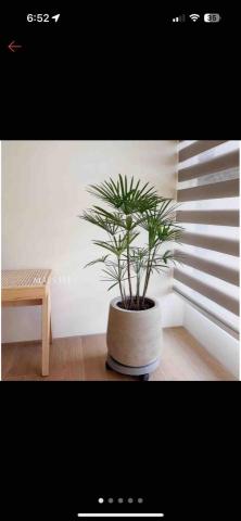 艸根設計有限公司 - 