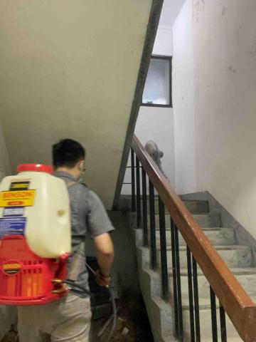 提供除蟲服務的專家居家除蟲好夥伴