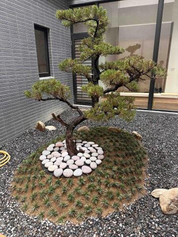 艸根設計有限公司 - 真柏種植、景觀設計、中庭設計