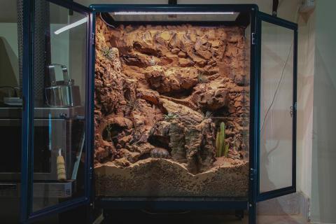 隣人植栽 - 台北甜點店，生態沙漠櫃