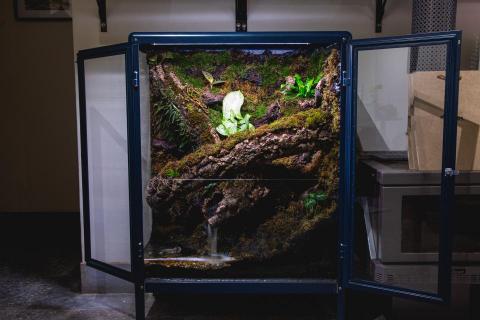 隣人植栽 - 台北甜點店，生態雨林櫃