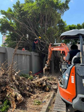 🪽森羽園藝 - 樹木修剪