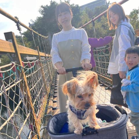 提供寄養狗服務的專家劉 玉樺