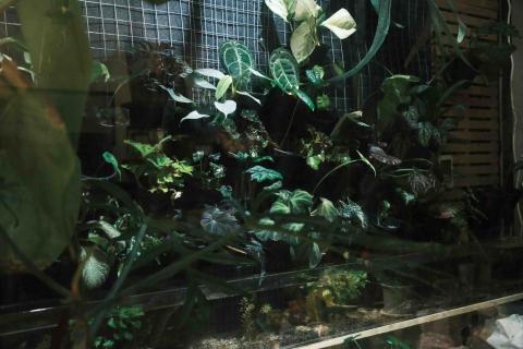 繁華予槿商行 -  繁華予槿商行 -