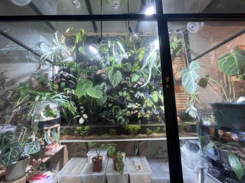 繁華予槿商行 - 植物牆設計 繁華予槿商行 - 植物牆設計