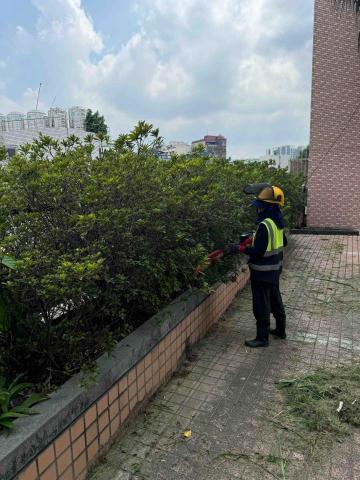 🪽森羽園藝 - 灌木修剪