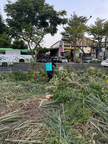 🪽森羽園藝 - 農藥噴灑