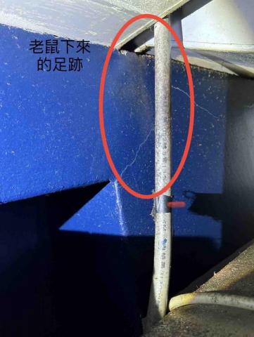 豪家在環衛有限公司 - 鼠害防治