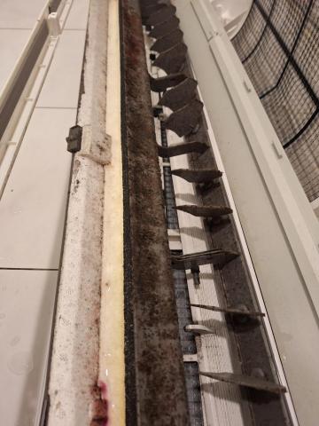 王益和 - 藏汙納垢的集水盤