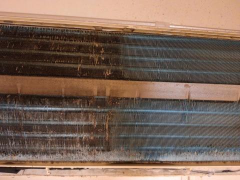 王益和 - 蒸發器有洗與沒洗的差異