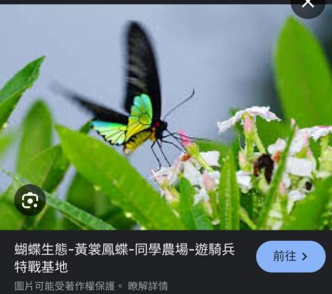 提供卡通動畫服務的專家羅國成