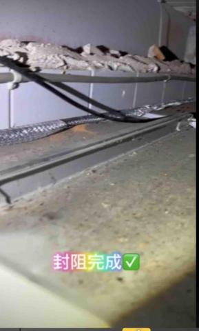 豪家在環衛有限公司 - 老鼠路徑封阻