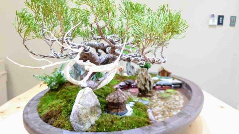 嵐庭花藝植栽 - 植物造景