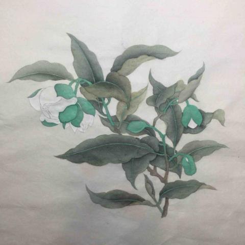 陳韋伶 - 工筆花卉臨摹