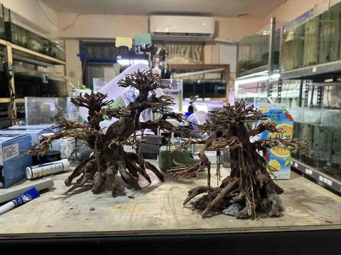 魚仔舖企業社 - 