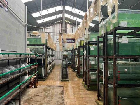 魚仔舖企業社 - 