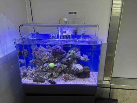 魚仔舖企業社 - 