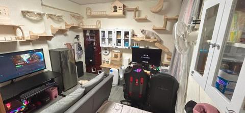 浩浩電工居家修繕 - 貓跳台＆壁櫃設計安裝