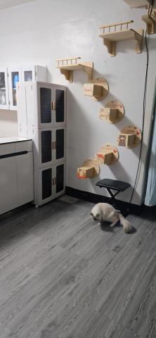 浩浩電工居家修繕 - 貓跳台安裝